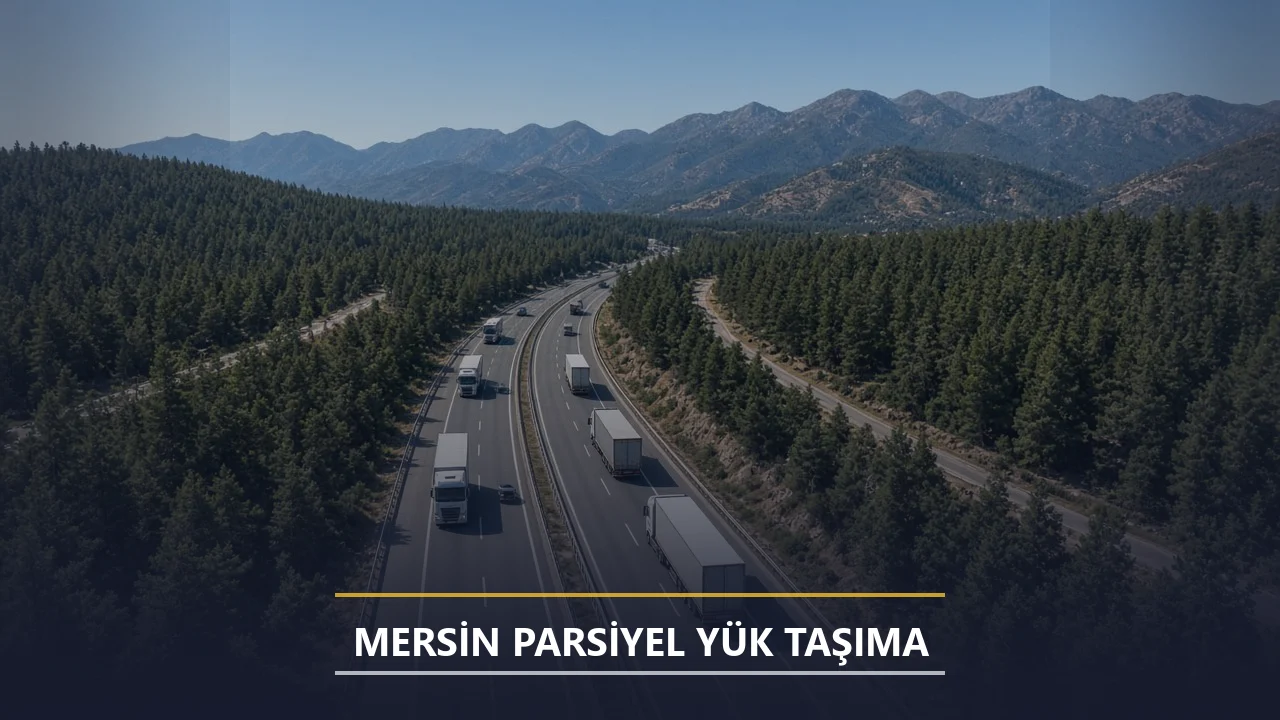 Mersin Dönüş Araçları Planlama